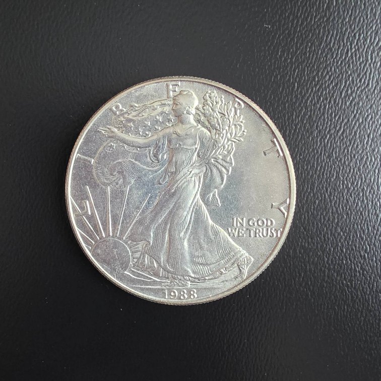 1988 American Eagle 1oz Silver Coin