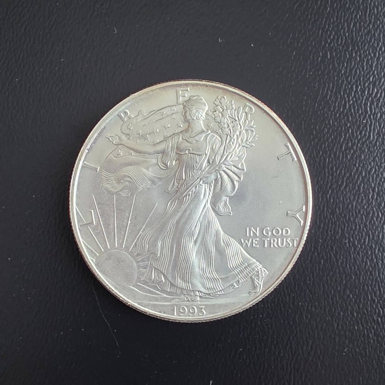 1993 American Eagle 1oz Silver Coin