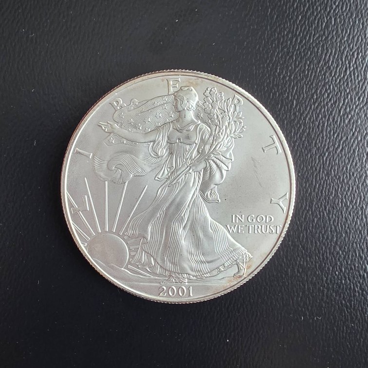 2001 American Eagle 1oz Silver  Coin