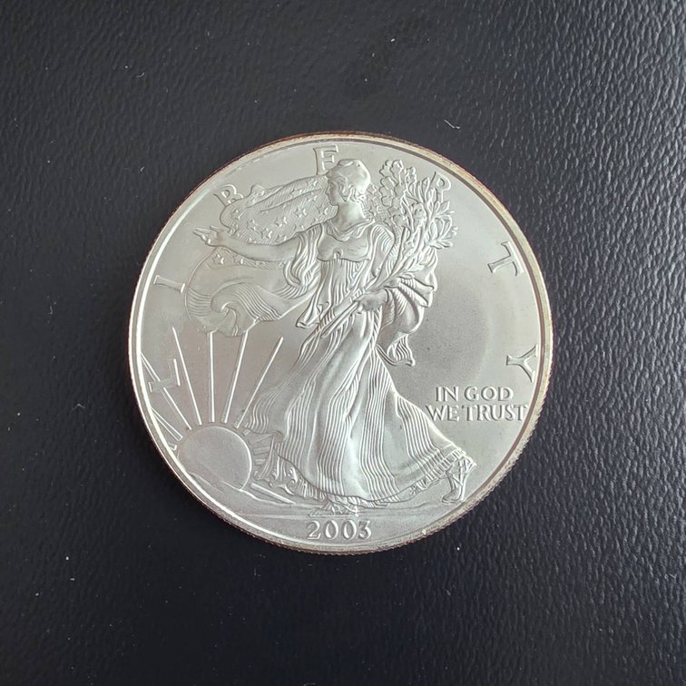 2003 American Eagle 1oz Silver Coin
