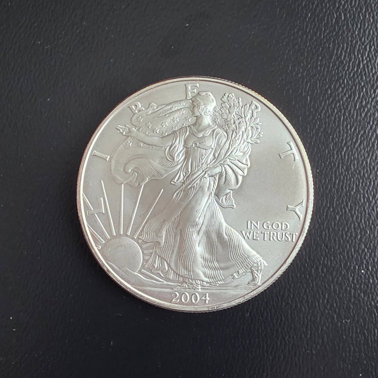 2004 American Eagle 1oz Silver Coin