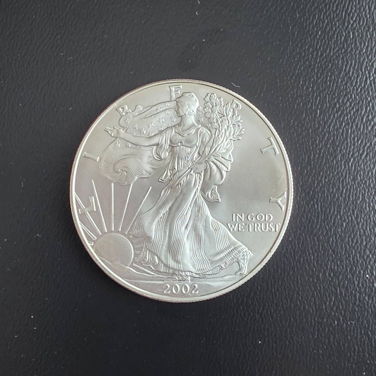 2002 American Eagle 1oz Silver Coin