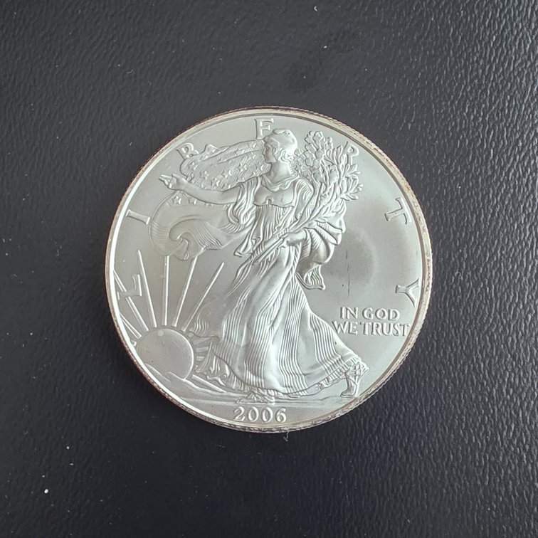 2006 American Eagle 1oz Silver Coin
