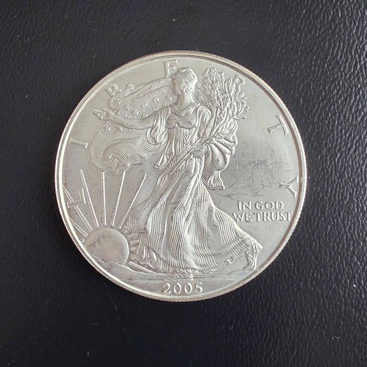 2005 American Eagle 1oz Silver Coin
