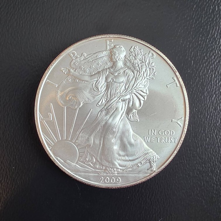 2009 American Eagle 1oz Silver Coin