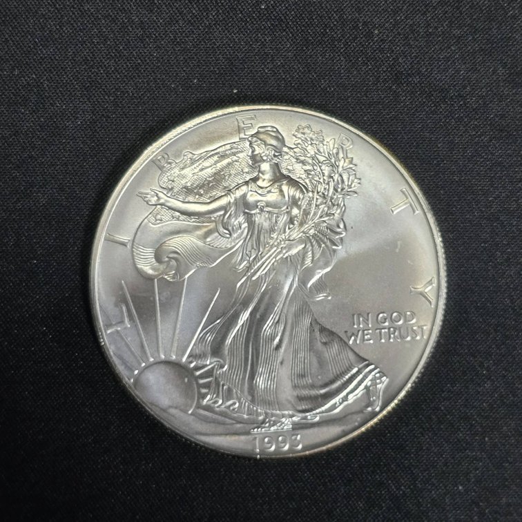 1993 American Silver Eagle 1 oz Coin in Protective Case