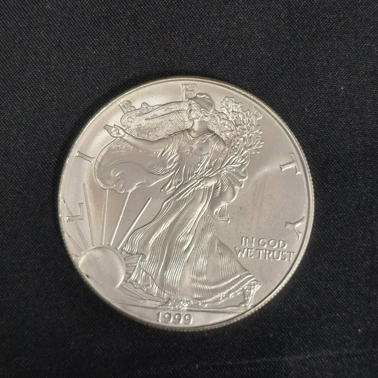 1999 American Silver Eagle $1 Coin, 1 oz Fine Silver
