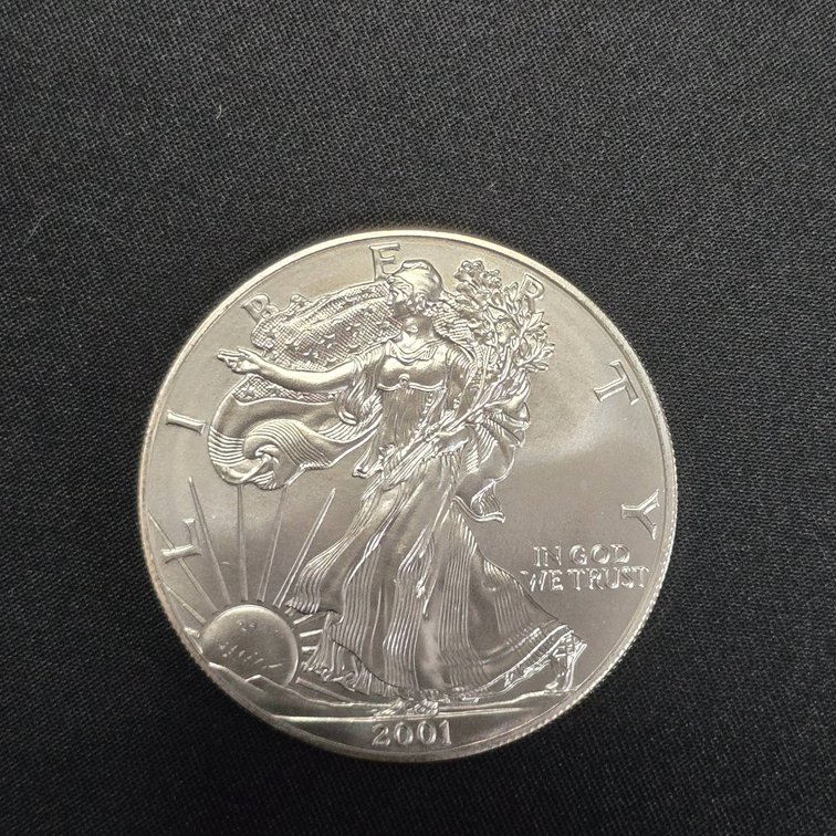 2001 American Silver Eagle One Ounce Coin