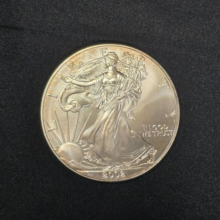 2002 American Eagle One-Ounce Silver Coin