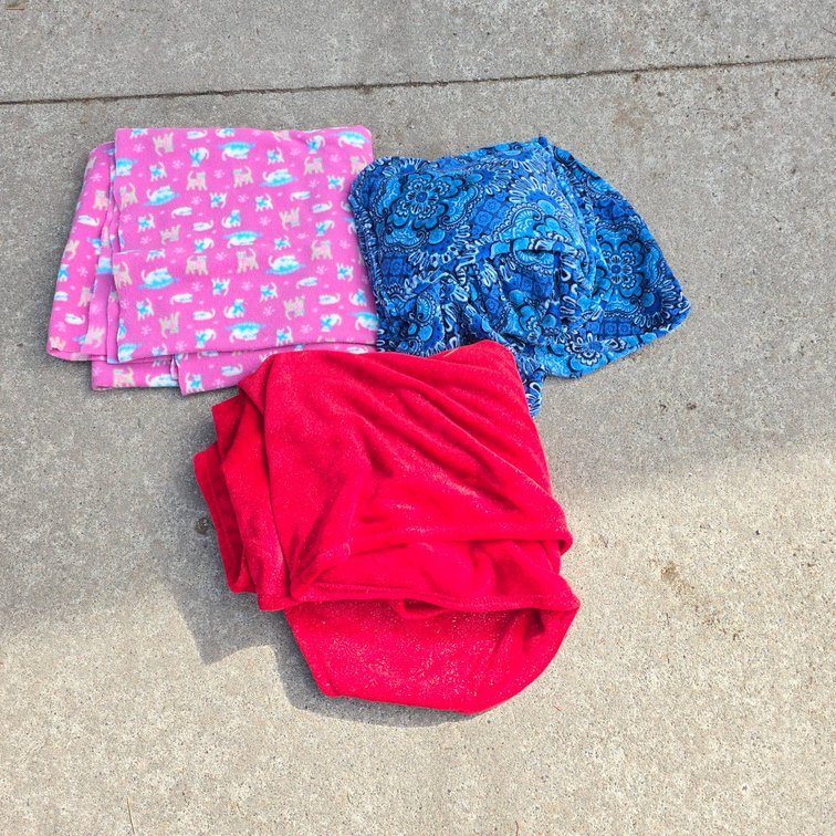 3 Throw Blankets With Animal, Paisley, and Solid Red Designs