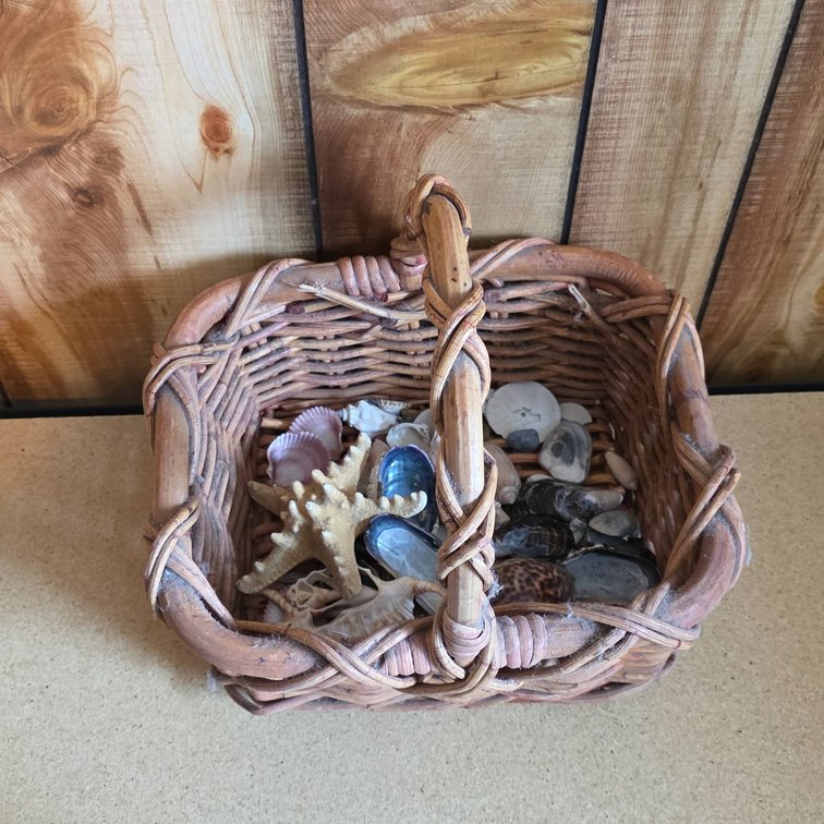 Wicker Basket with Assorted Seashells and Starfish