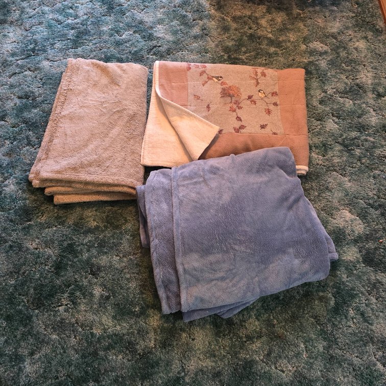 Chris Madden and JC Penney and Throw Blanket