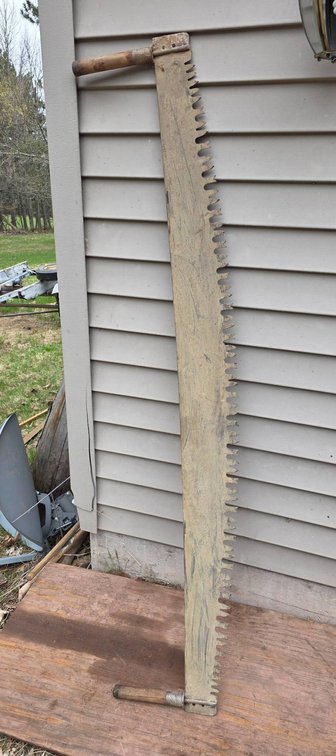 Vtg 2-Man Crosscut Saw, 65.5″