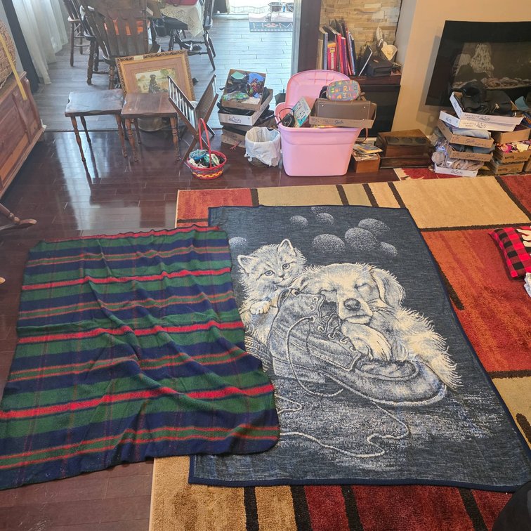 Two Throws: Plaid and Animal-Themed Woven Designs