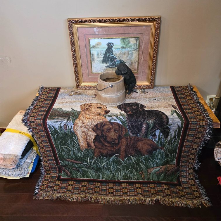 Framed Labrador Print, Woven Throw, and Dog Planter Ensemble