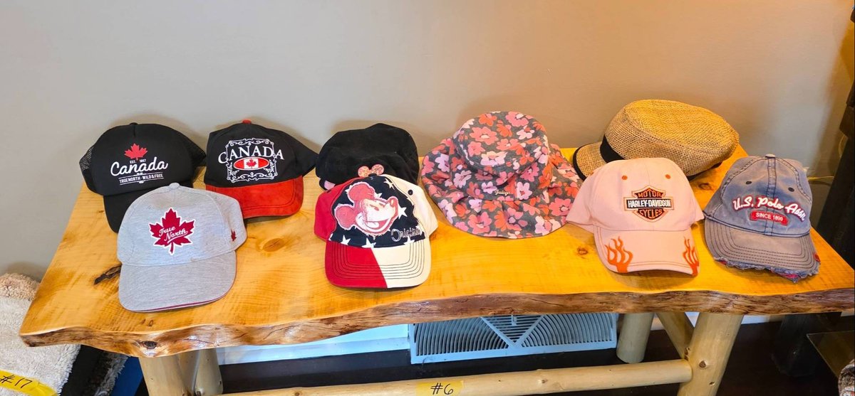 9 Hats ft. Canada, Disney, Harley-Davidson, and Other Themes
