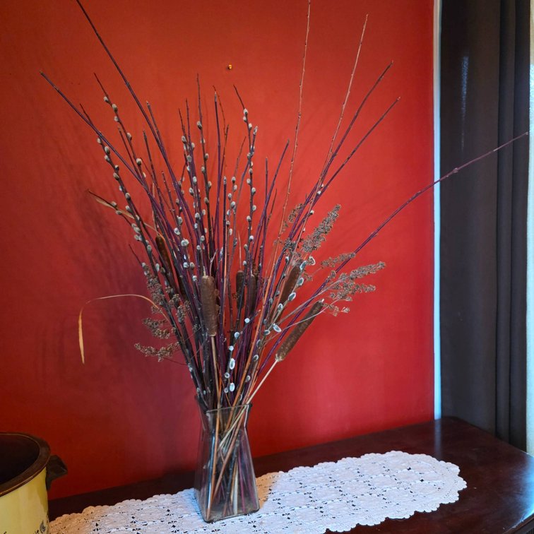 Real Pussy Willows and Cattails in Glass Vase
