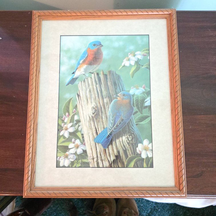 Framed Mittelstadt Bluebirds Limited Edition Print, 12 x 15 in, 202/600