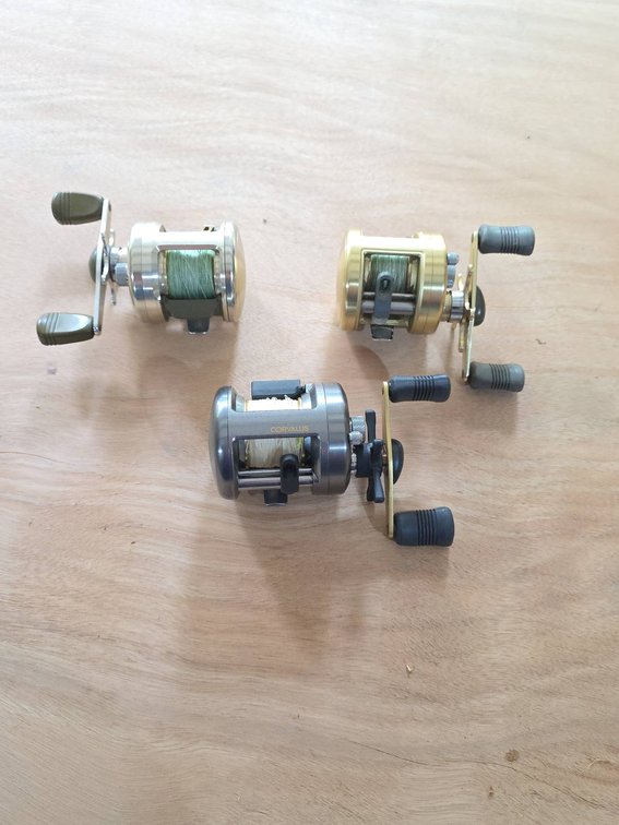 Shimano (2) and Daiwa (1) Fishing Reels, Including Calcutta, Corvalus, and Daiwa Luna