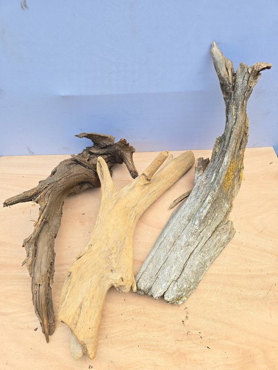 Three Natural Driftwood Pieces Assorted Shapes and Tones