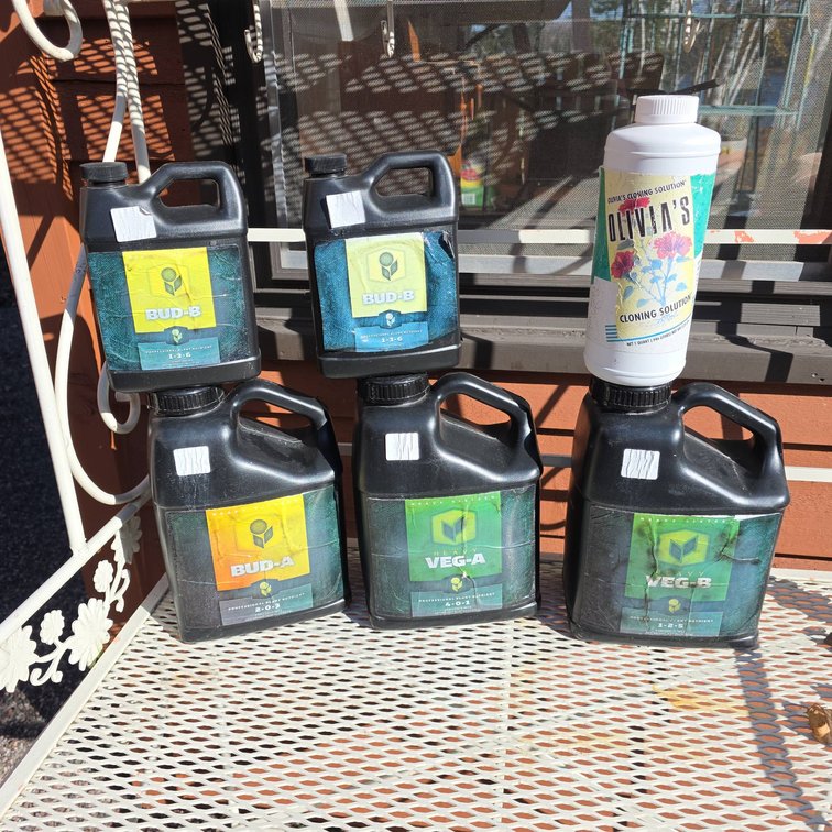 Heavy 16 Plant Nutrient Jugs and Olivia’s Cloning Solution, 6 Containers Total