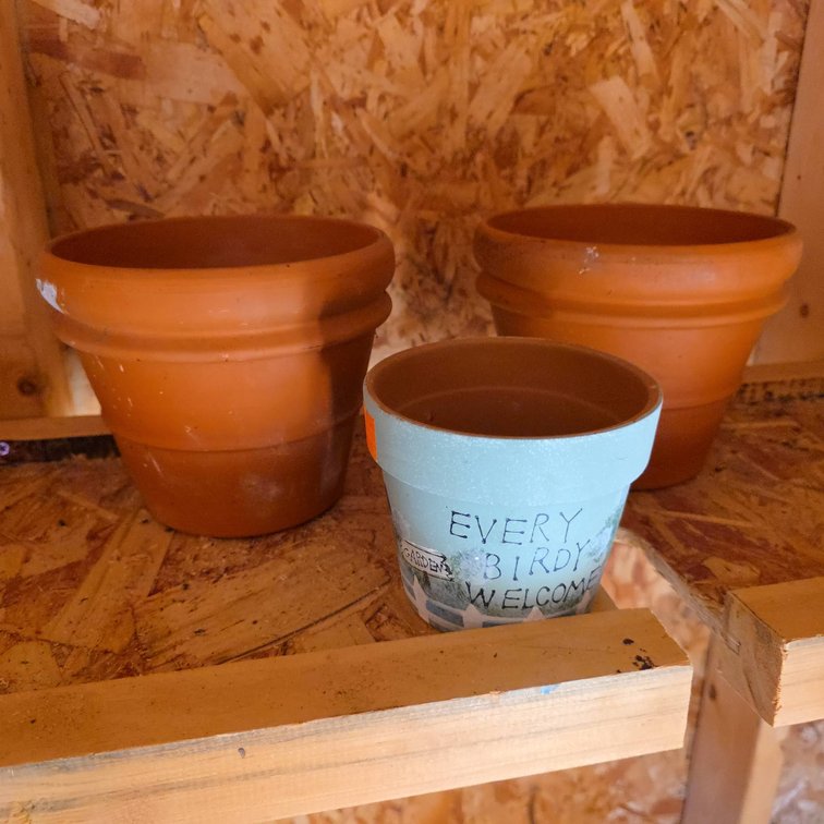 Classic Terracotta Flower Pots and Hand-Painted Pot with Every Birdy Welcome Message