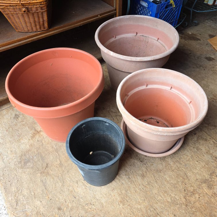 Four Plastic Garden Plant Pots and Drainage Plates