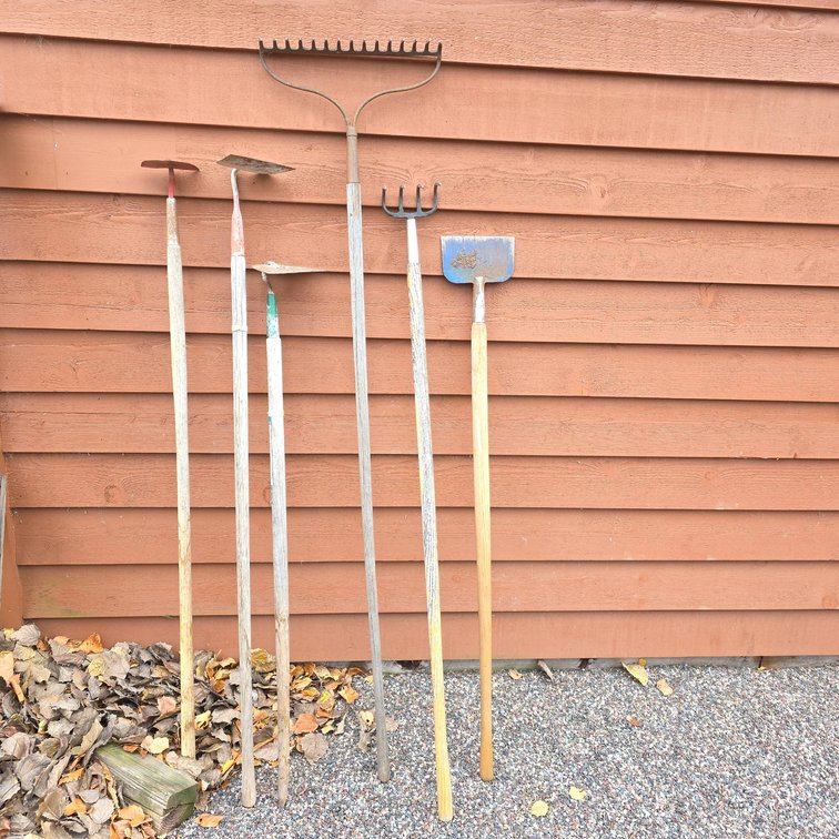 Six Garden Tools Including Rake, Hoes, Cultivators, and Spade with Wood Handles
