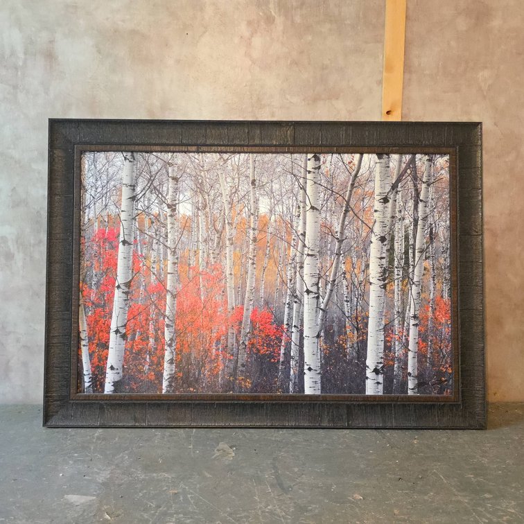 John McFaul Signed Limited Edition "Autumn Aspen I" Framed Art Print