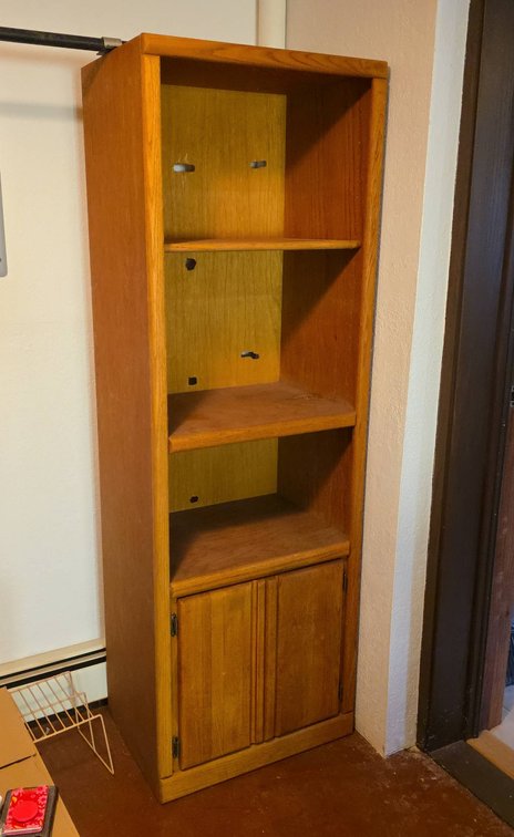Tall Wood Bookcase With Adjustable Shelves and Lower Cabinet Doors