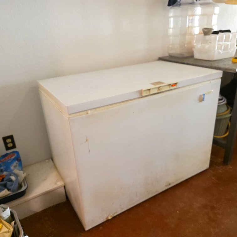 Wood's Chest Freezer with Energy Star Label, White, Bring Help to Move, Contents Not Included