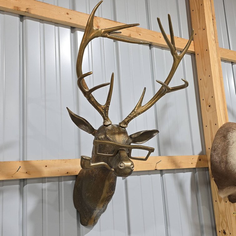 Solid Brass Deer Head Wall Mount With Antlers and Glasses, Heavy, Approximately 3 Feet Tall