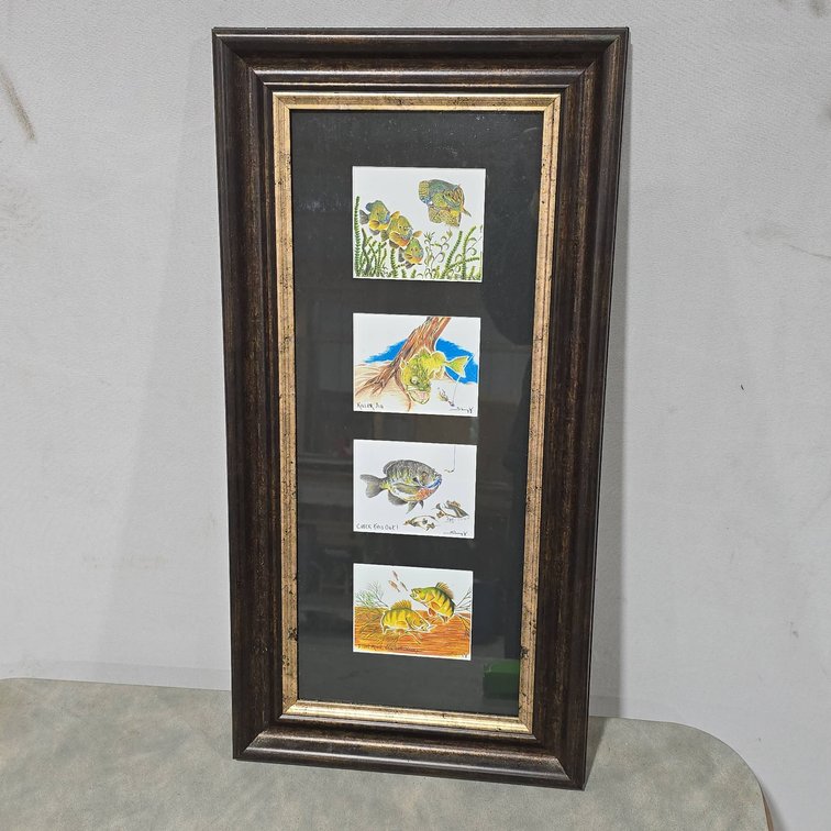 Framed Pencil Drawings By Daryl, Freshwater Fish Theme, Four Artworks, Frame Measures 12x24 Inches