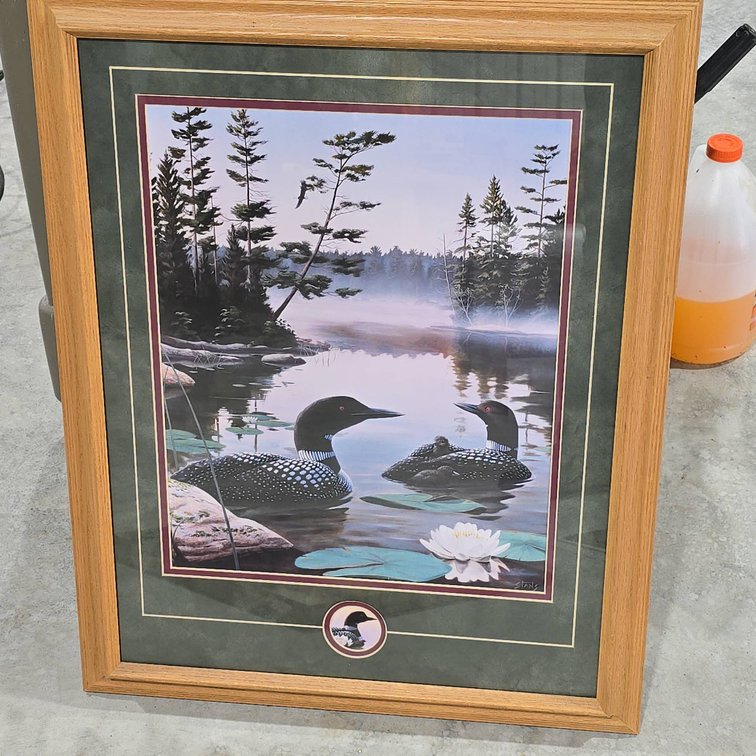 Framed Loon Nature Scene Print With 24x29 Inch Frame, Water Scene and Mat with Loon Detail