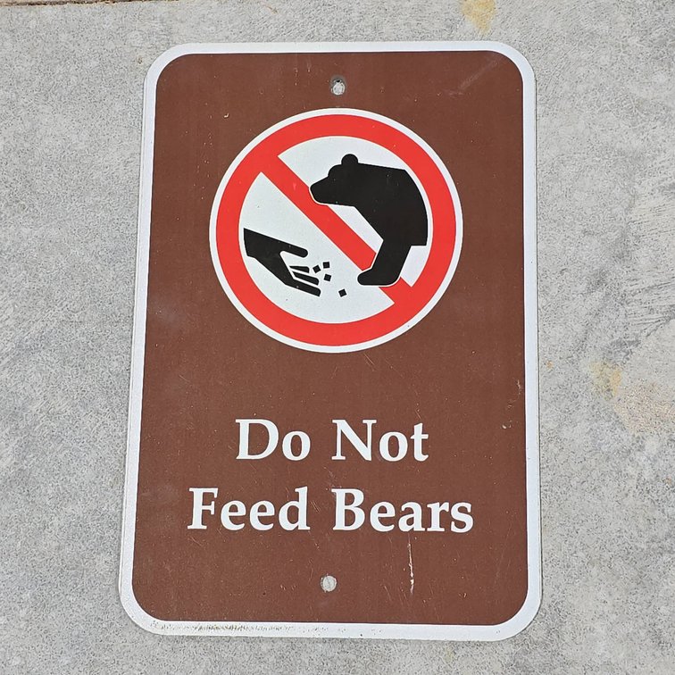 Metal Do Not Feed Bears Sign with Bear Symbol and Hand Graphic, Brown and White, 18x12 Inches
