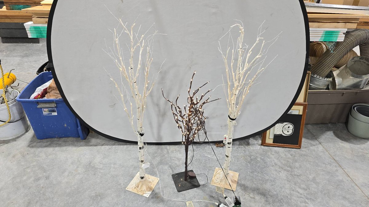 Three Decorative Lighted Branch Trees, Two White Birch and One Black, Tallest Approximately 48 In.