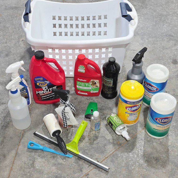 Cleaning Lot With Clorox Disinfecting Wipes, Rug Doctor Pet Carpet Cleaner, Zep Drain Gel, Brushes, Squeegee