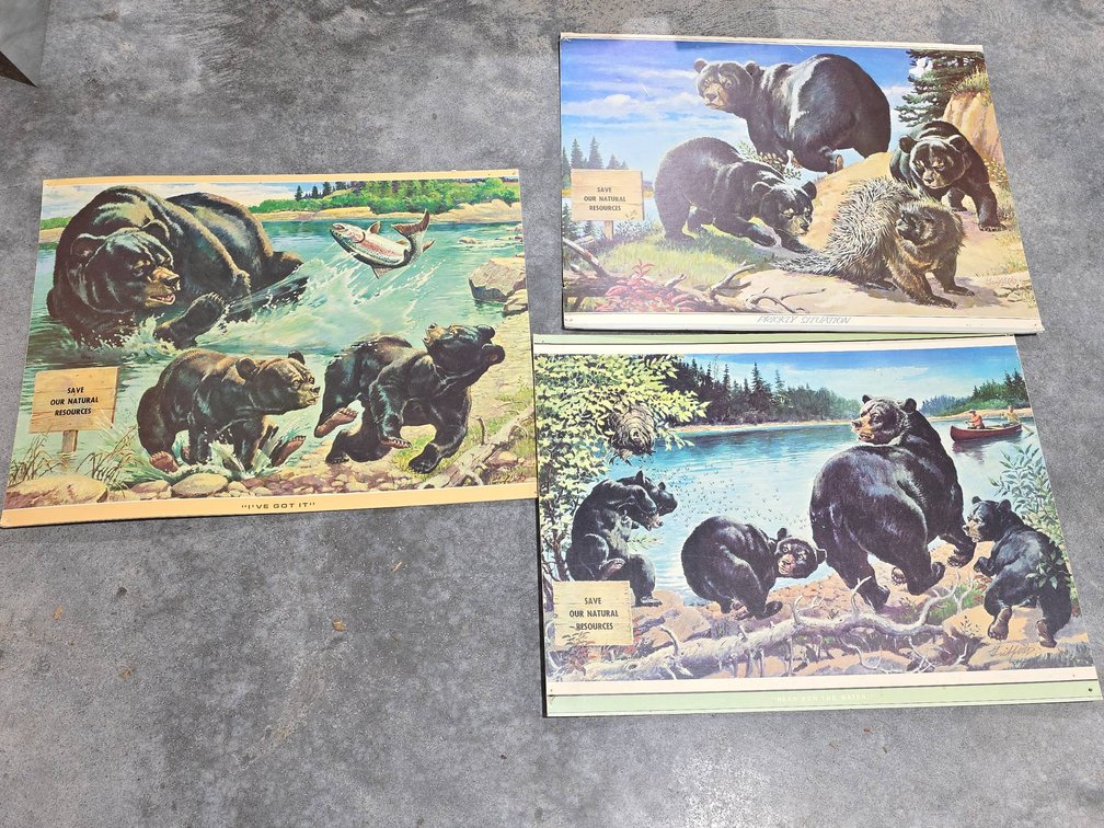 Three Wildlife Bear Prints, Each with "Save Our Natural Resources" Theme, 22x29 in