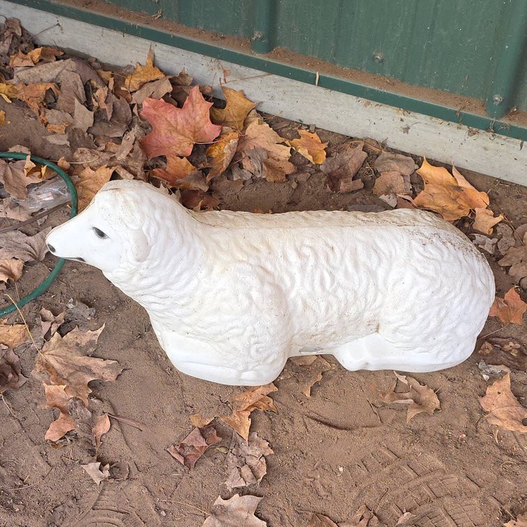 Empire 19-Inch White Plastic Lamb Lawn Figure