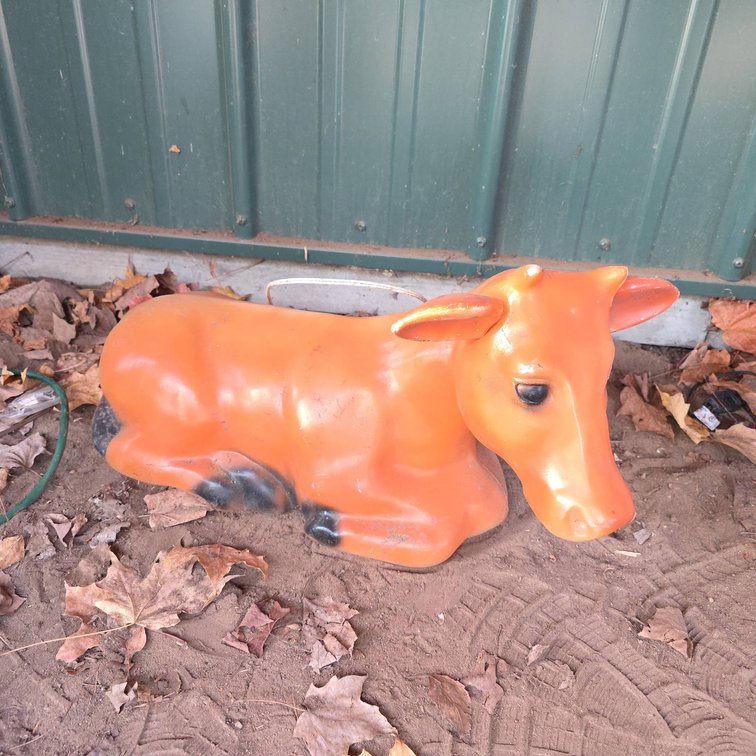 20" Long Orange Calf Blow Mold Decorative Figure with Loose Ear and Power Cord