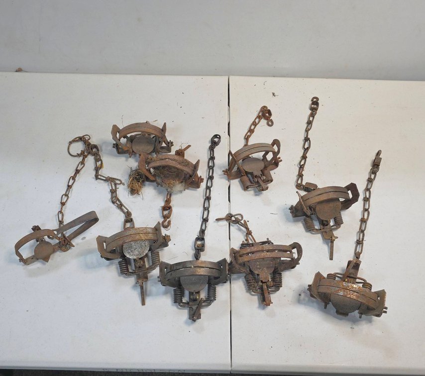 Nine Animal Traps, Various Makes, Including Sleepy Creek, Butera Manufacturing, and Oneida Victor