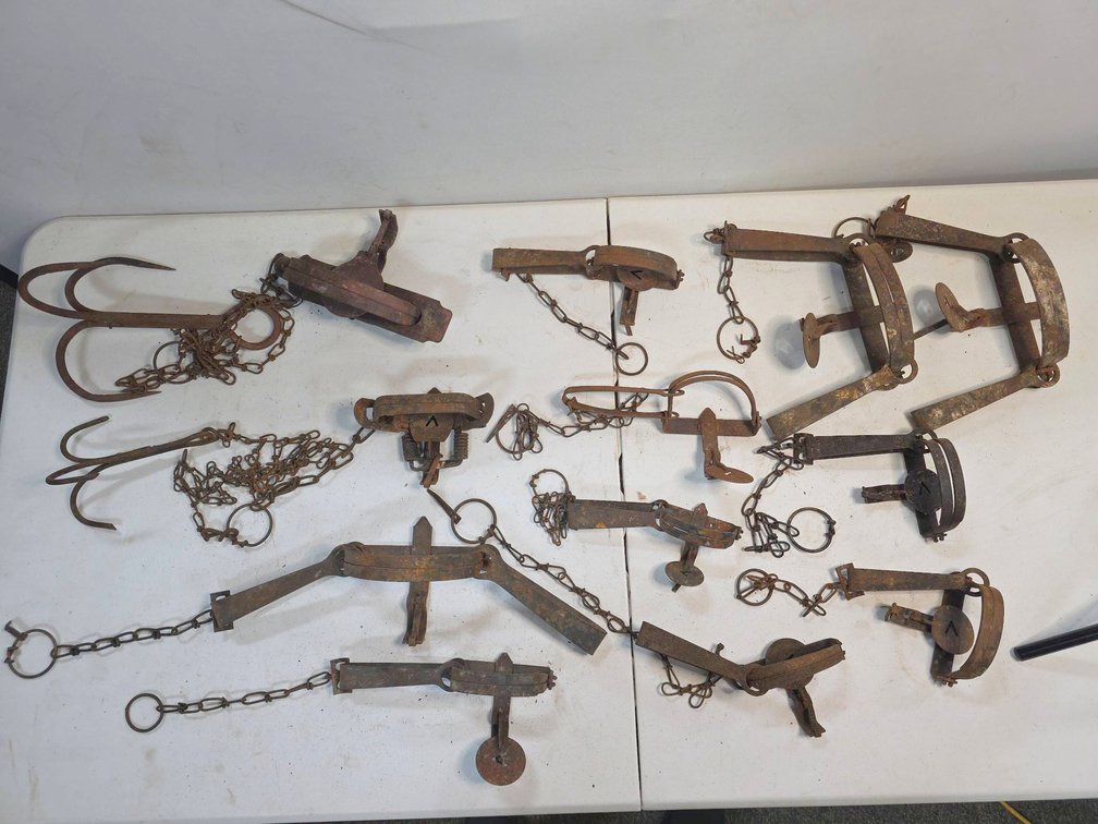 12 Animal Traps in Various Sizes with Chains, Early 20th Century