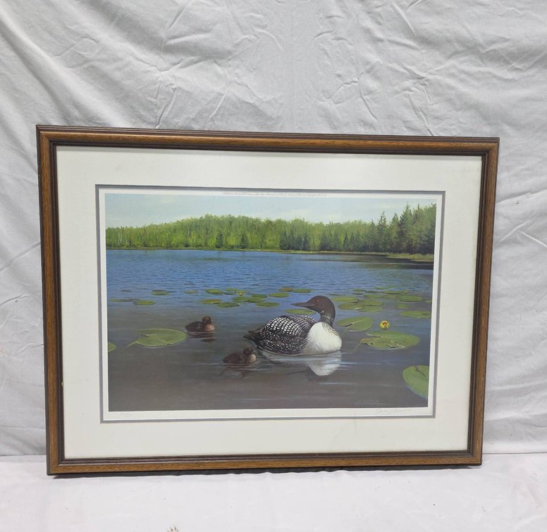 Owen J. Gromme Signed Limited Edition Treehaven Common Loon Print Framed 35"x 26"