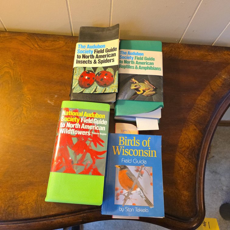 Audubon Field Guides Lot, Insects, Reptiles, Wildflowers, Plus Birds of Wisconsin by Stan Tekiela