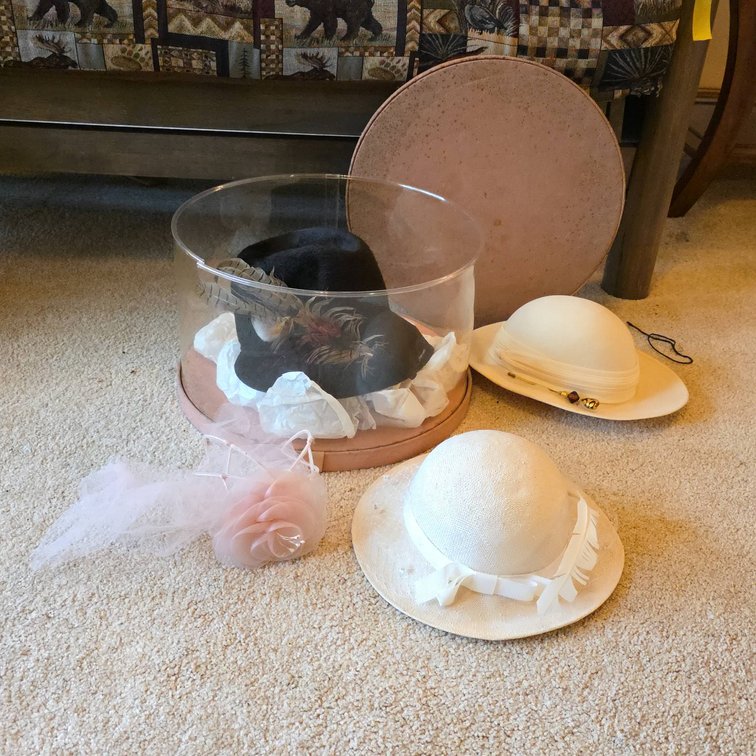 4 Women’s Hats: Splendide Westbury Black Felt, Miss Bierner White, Artin White, Pink Veil Headpiece