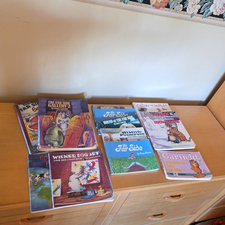 (12) Comic Books Including Far Side, Calvin and Hobbes, and Garfield Collections, Larson, Watterson, Davis