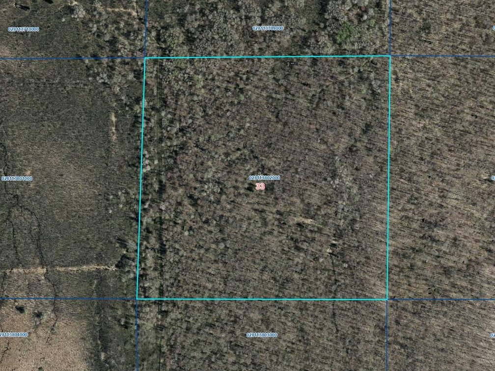 40 Acre Parcel - Ogema, Wisconsin