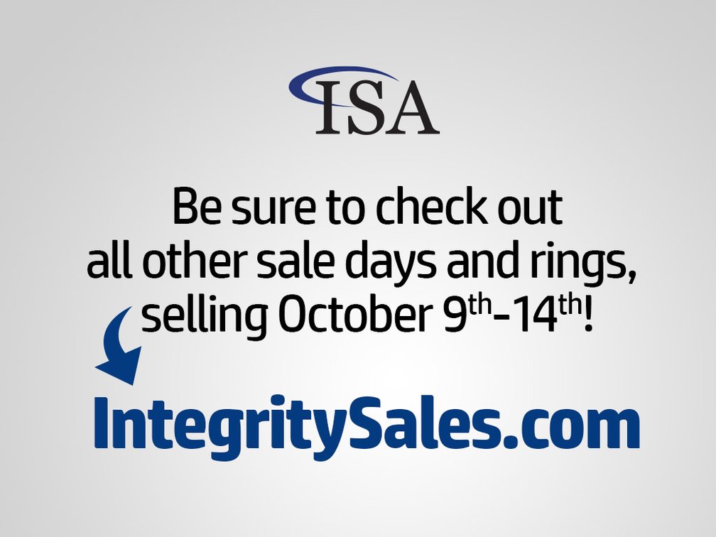 Check Out Our Other Auctions!