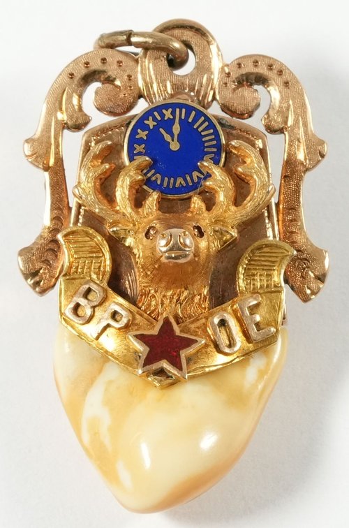 14K elk's tooth fob w/blue and red enameled details
