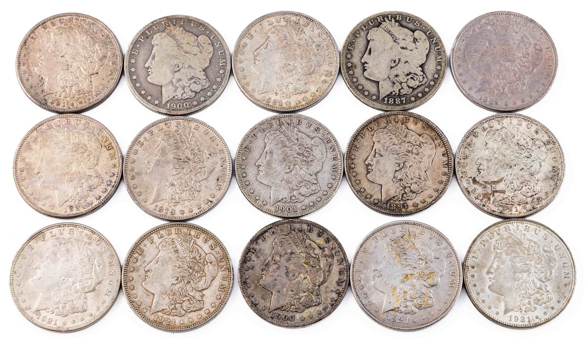 Morgan Silver Dollar lot (15) Assorted dates, mints & grades